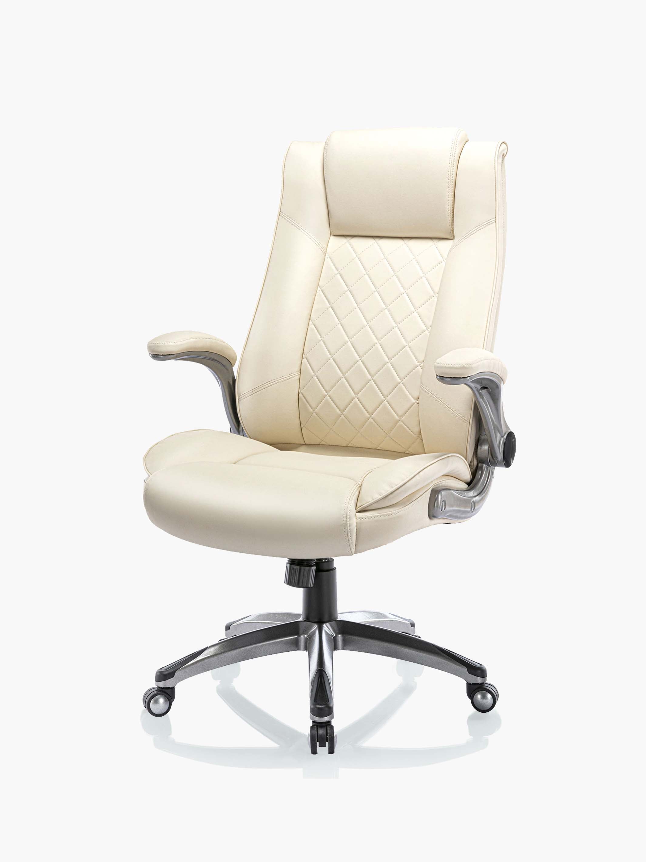 JOYFINITY Ergonomic Office Chair with Flip-up Armrests