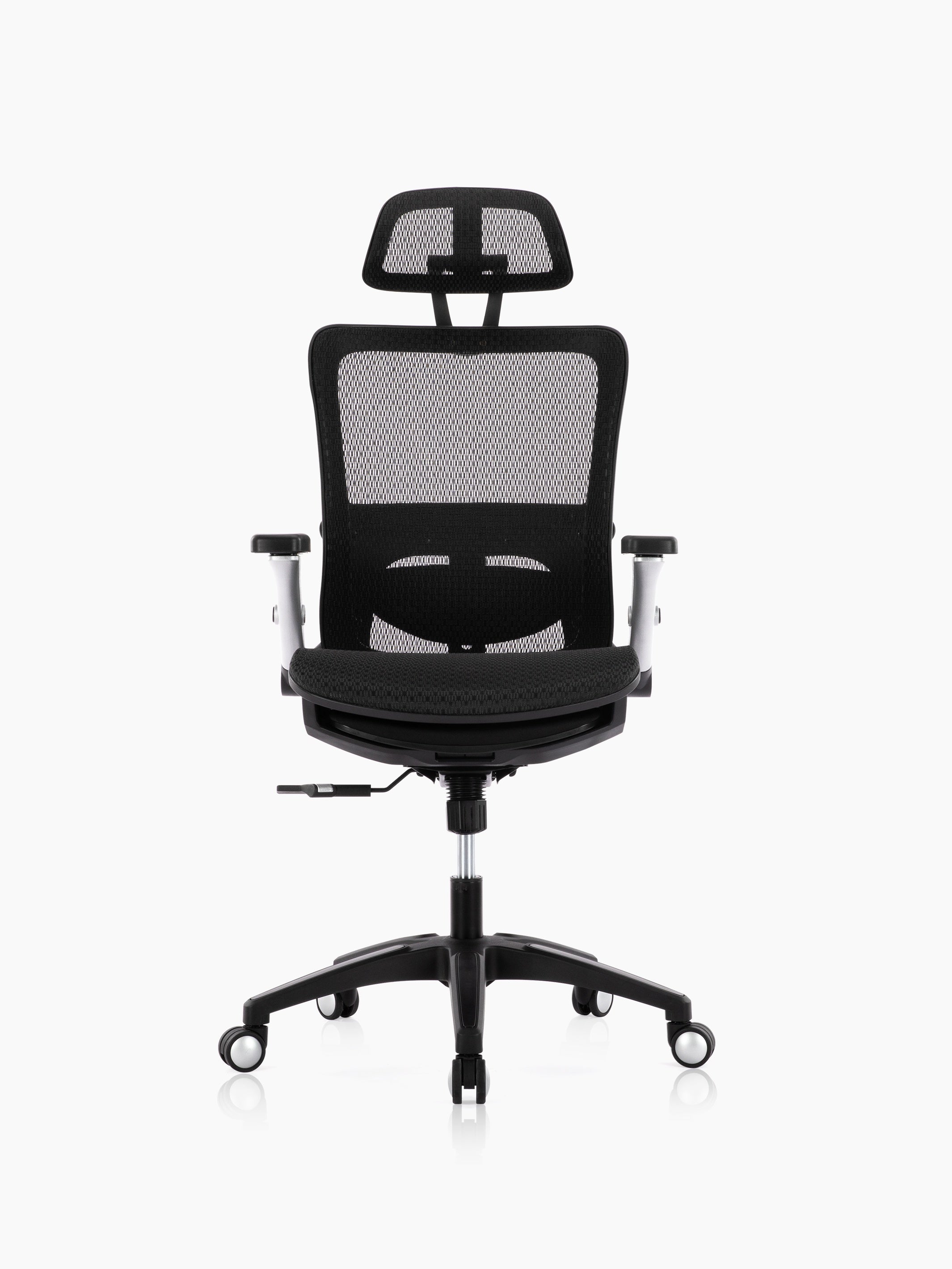 JOYFINITY Executive Mesh Back Office Chair with Footrest