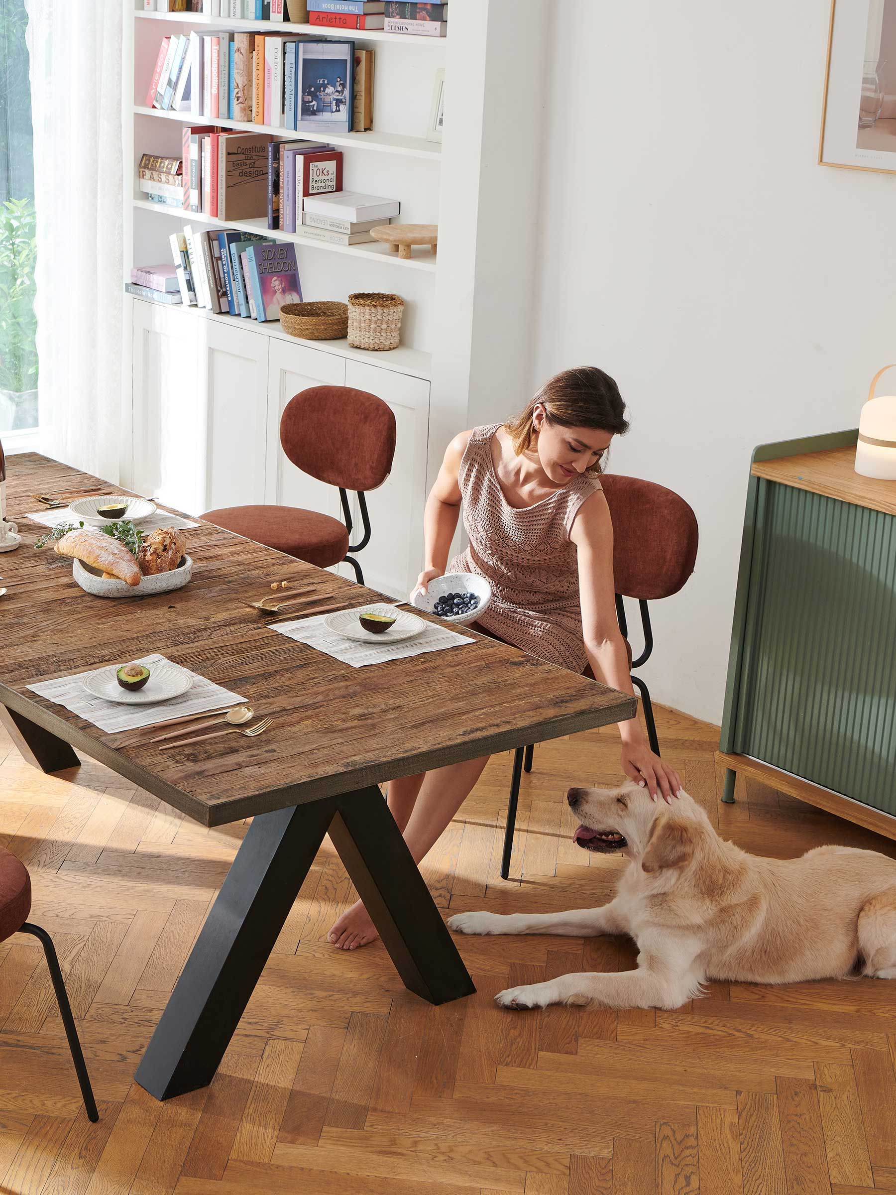 JOYFINITY Mid-century Fabric Dining Chair with Metal Frame