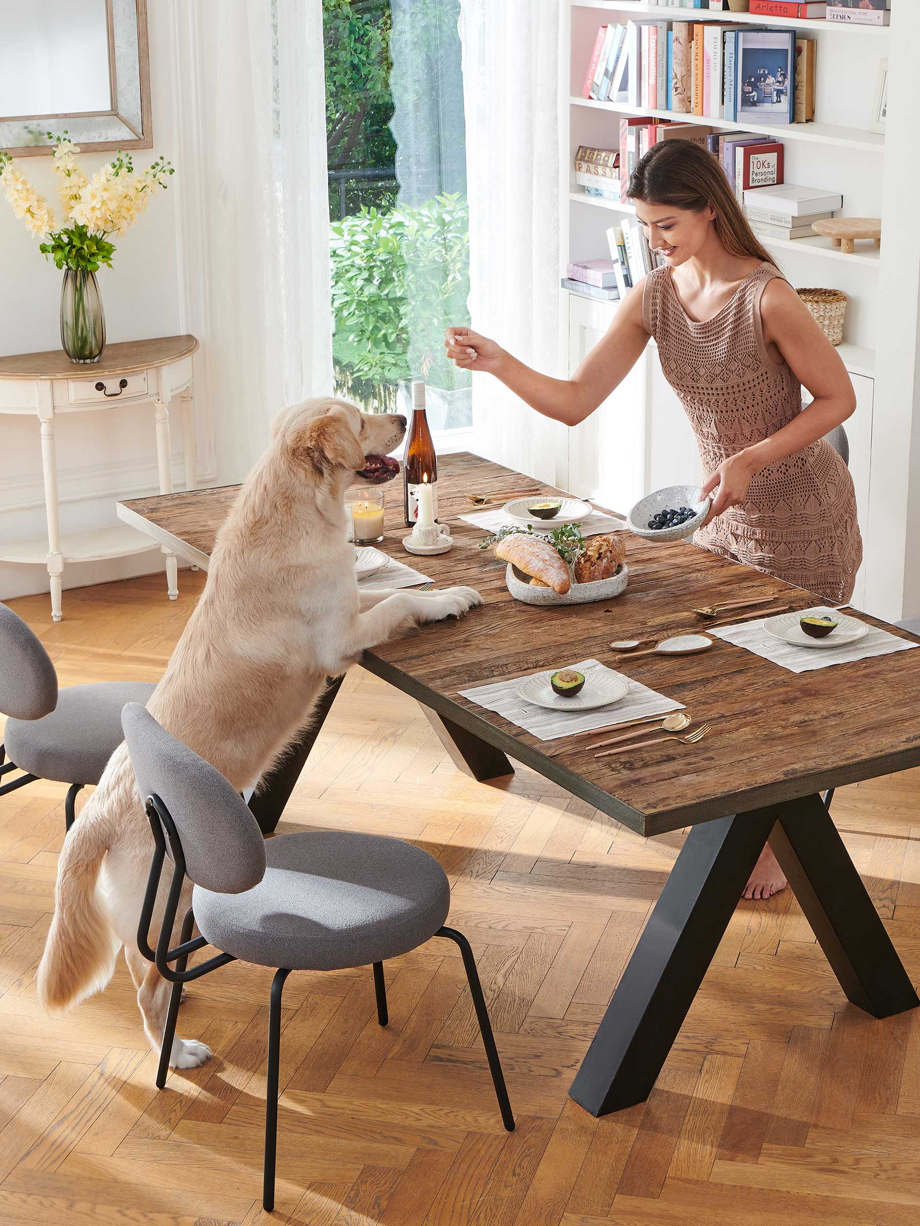JOYFINITY Mid-century Fabric Dining Chair with Metal Frame