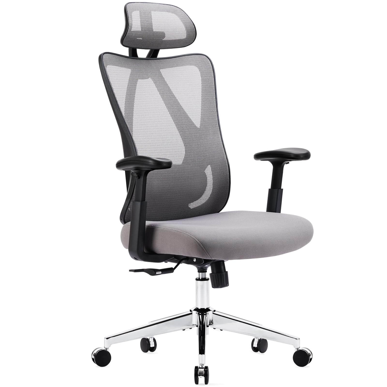 JOYFINITY Ergonomic Office Chair with 2D Armrest Adjustable Lumbar Support & Headrest,135°Tilt Function